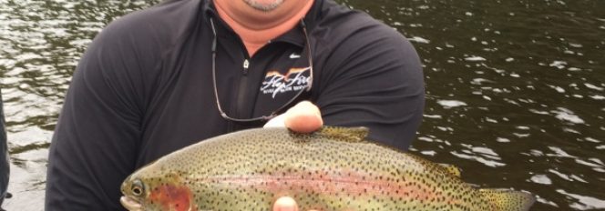 Early Fall Dry Fly Fishing Trout On The Muskegon