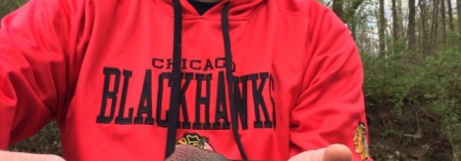 Trout Fishing On The Muskegon River