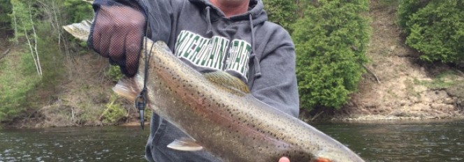 Don’t Stop Believing!  The Run Ain’t Done Yet…