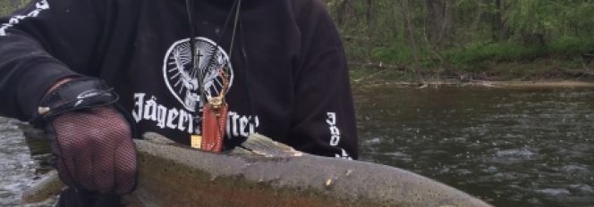 One Door Closes As Another Door Opens Wide!