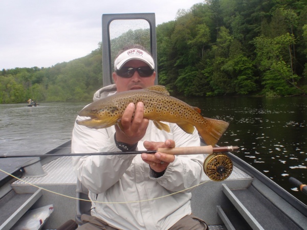 Muskegon River Brown Trout