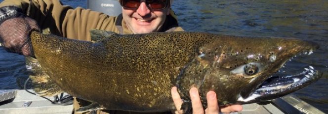 King Salmon Fishing Report, October 10th, 2016