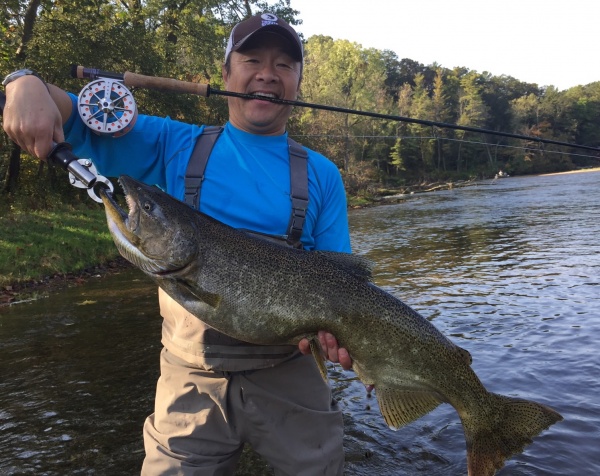 Fly Fishing For King Salmon