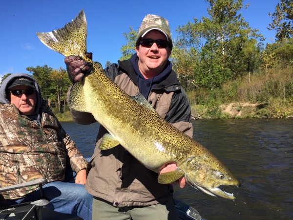 40″ 27 Pound King Salmon And This Was The Smallest One Of The Day