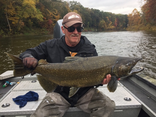 A Pair Of Giant King Salmon!