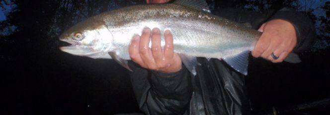 Quest For Fall Chrome