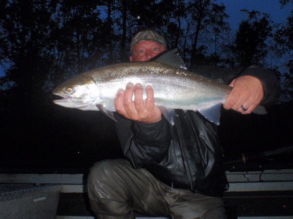 Quest For Fall Chrome