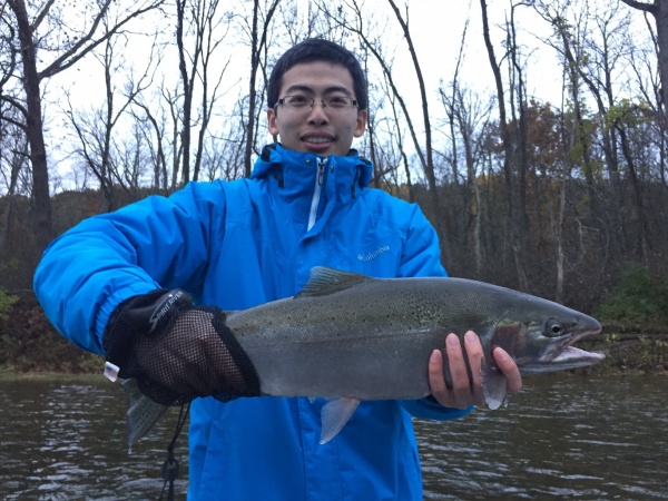 Chrome Before The Storm