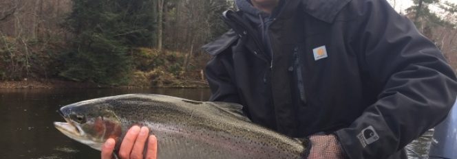 “The Man” For All Steelhead Seasons!