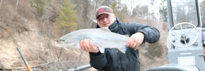 Crystal Chrome Steelhead!