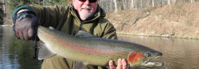 March Madness Steelhead Style!