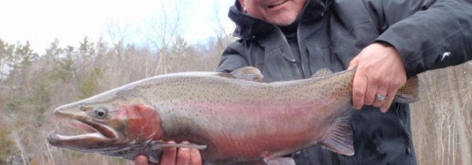 It’s Not About The Numbers, It’s All About “The One!”