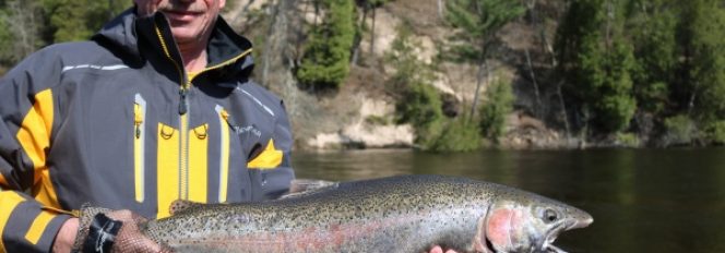 Day#2 ~17 Pounds and 33 Inches Of Twisted Chrome Steel!