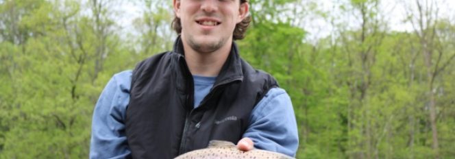 Brown Trout On The Fly!