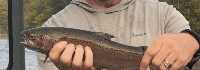 September Trout~Dry Fly Style On The MO!