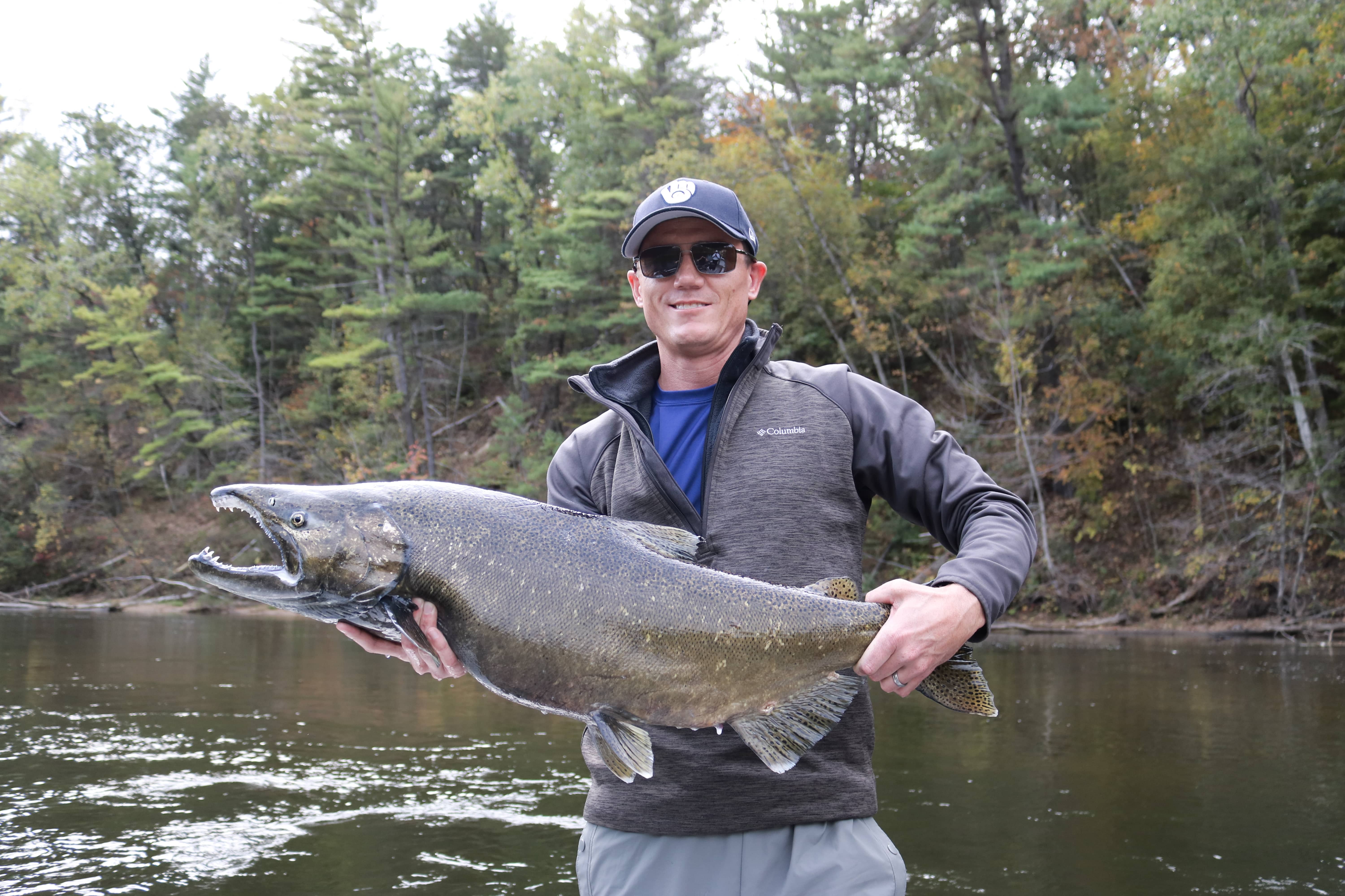 Massive King Salmon Caught On The Muskegon River!