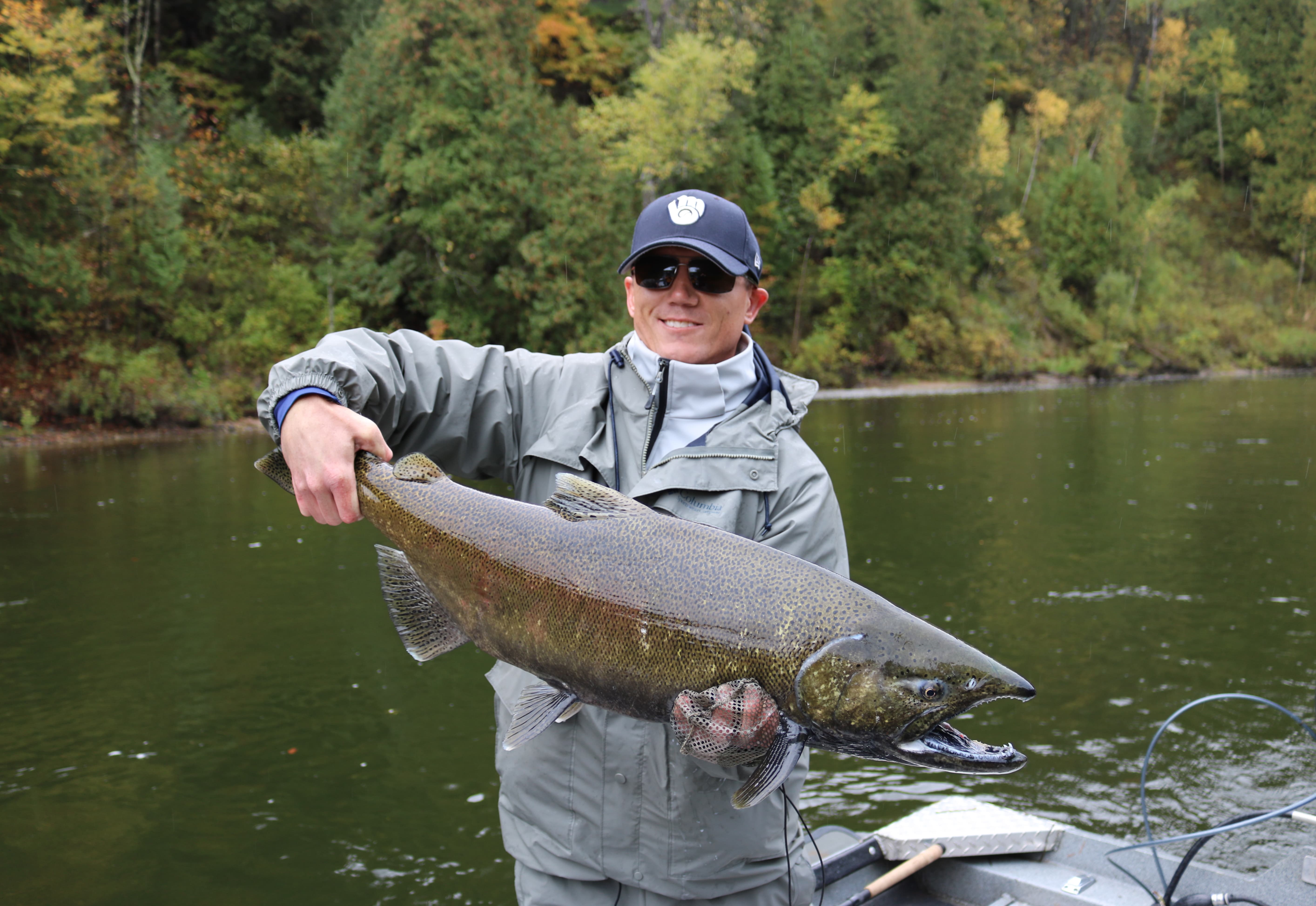 Muskegon river salmon