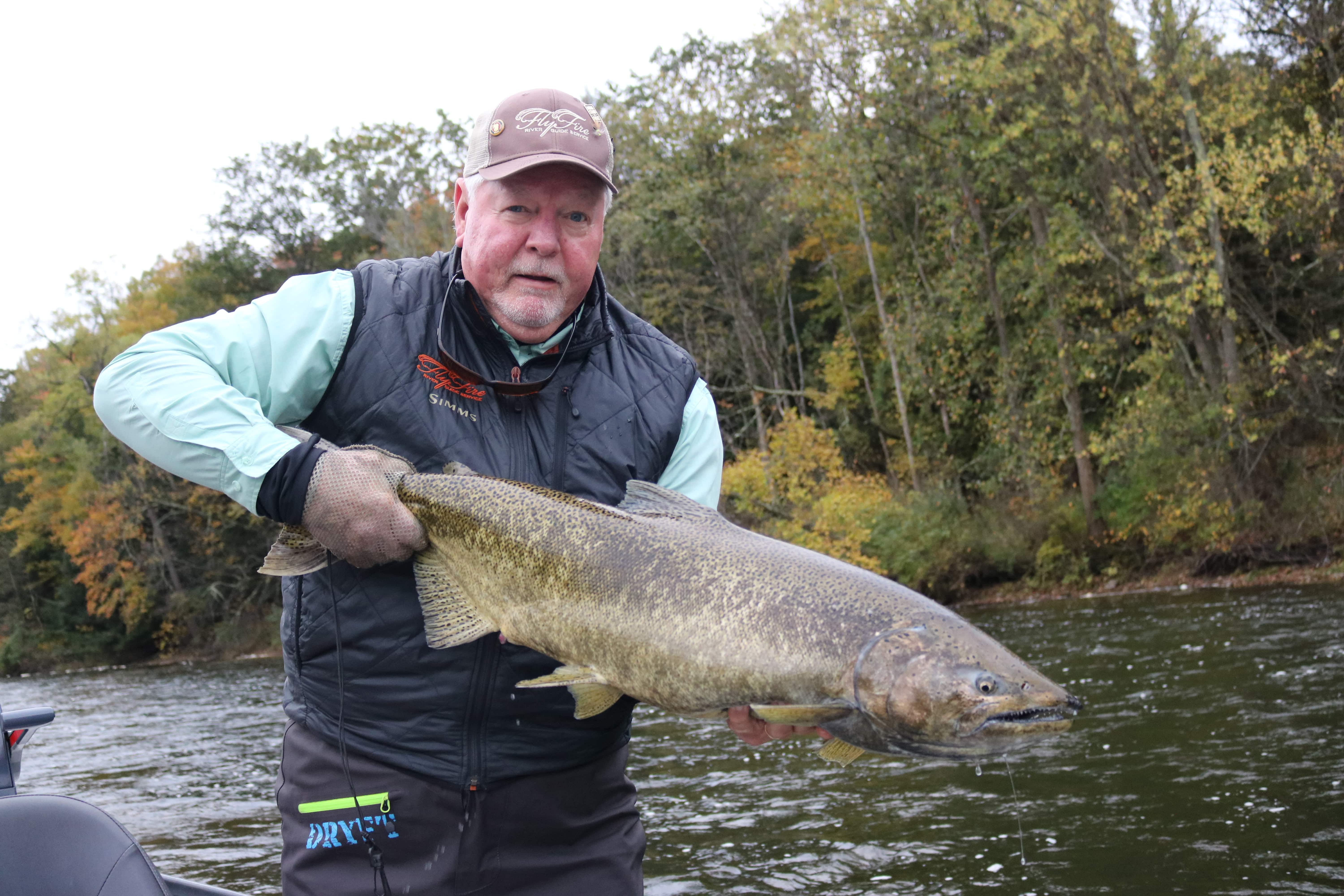Salmon Muskegon River