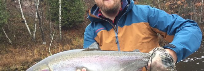 Fall Steelhead~Running Big!