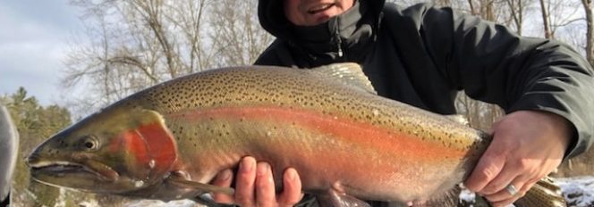Winter Steelhead On The Muskegon…Photos Worth 1,000 Words!