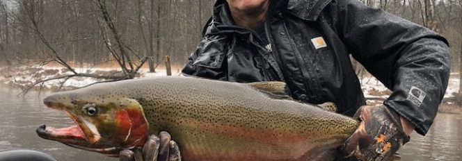 The Winter Steelhead Stars Align!