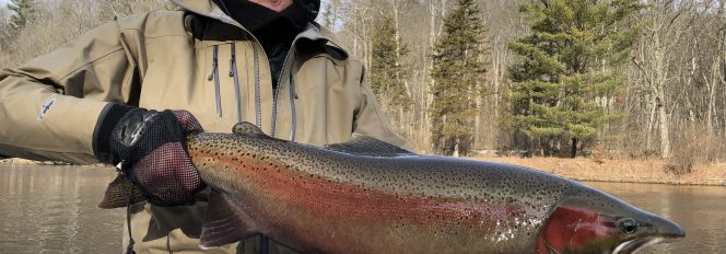 Winter Steel Paradise~Day Two