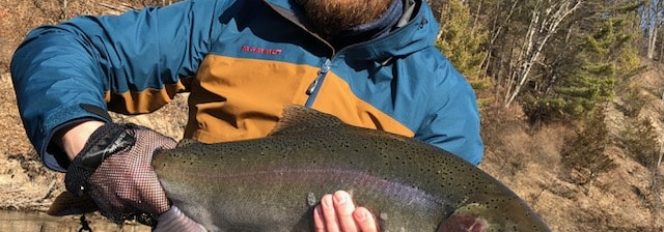 March Steel Madness Begins!