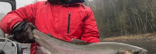 Setting The Bar High!  18lbs~34 Inches!