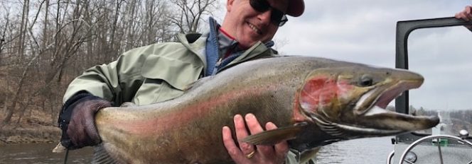 The Wisconsin Connection