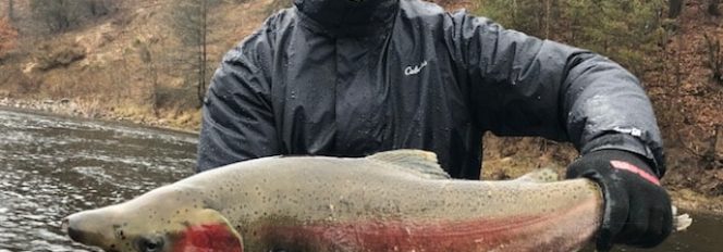 Over 20 Years In The Making…..A Pound Per Year!