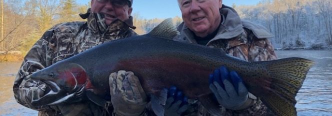 The Crown Jewel Of The Muskegon River~All 22 Pounds & 36 Inches Of Him!!