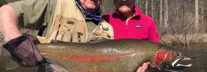 It’s All About….The One!