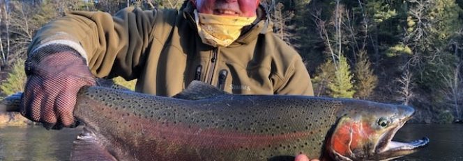 It’s Not Over Yet……