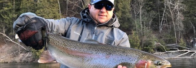 May Steelhead On The Move!