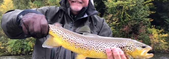 Beautiful Fall River Brown