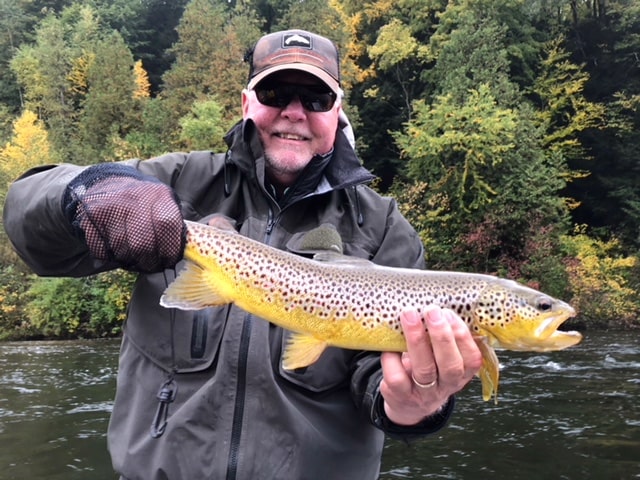 Beautiful Fall River Brown