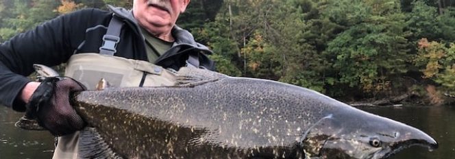 The Kings Of Madison!