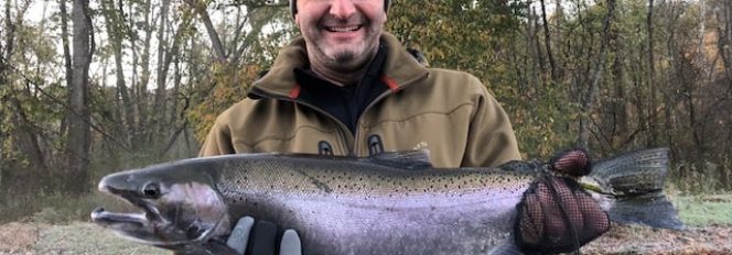 Sweet Steel Double Tap!