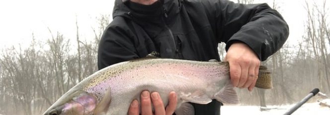 The Chrome After The Storm!