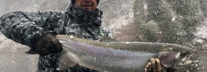 Winter Just Won’t Let Go!