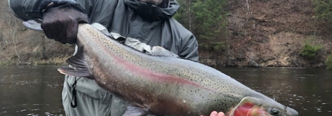 Spring Steel On The Run!