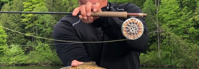 Dry Flying For Browns!