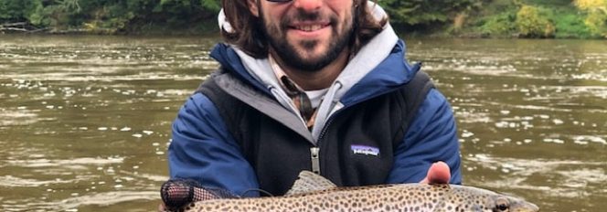 Beautiful Fall Colors!