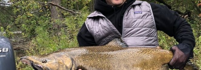 Great To Be King For A Day!