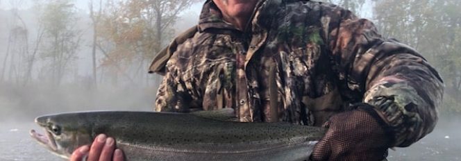 Muskegon River Fall Steelhead!