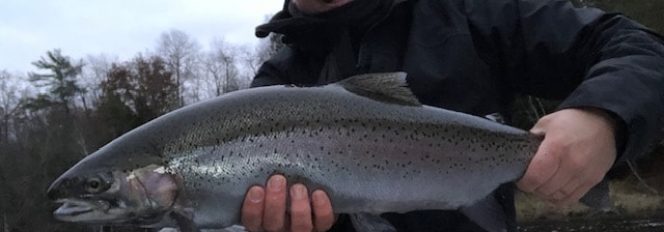 Sweet Chrome Of Mine!