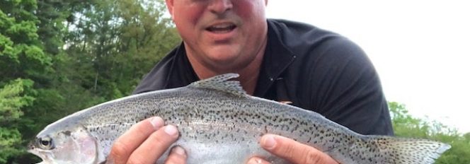 Crystal Chrome Trout On Dry Flies!