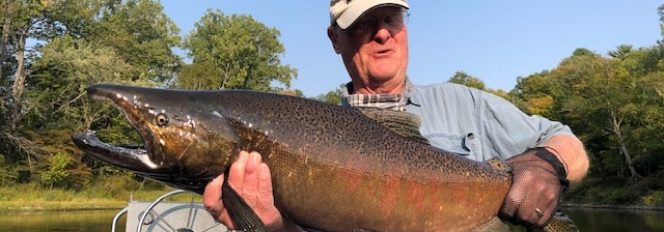 Red Tigger Stripe King!