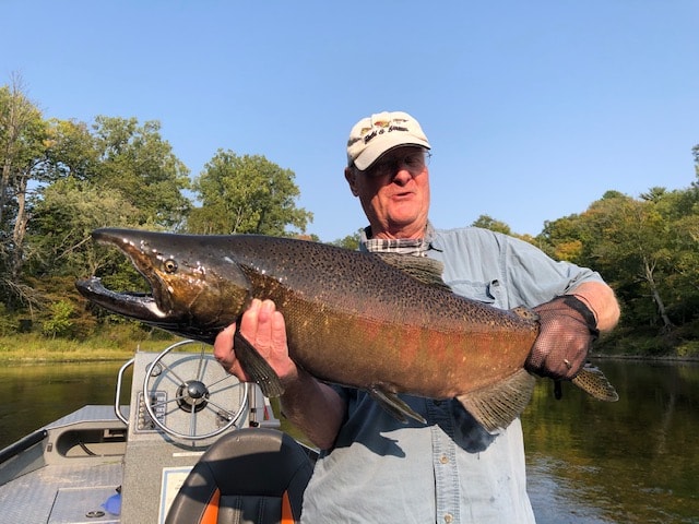 Red Tigger Stripe King!