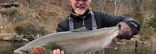 17lbs, 33″ of Twisted Chrome Steel!